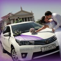 Андрей Данцев - украшения на свадебные авто