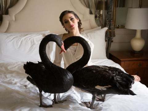 Анастасия Виктор. Swan Wedding.
