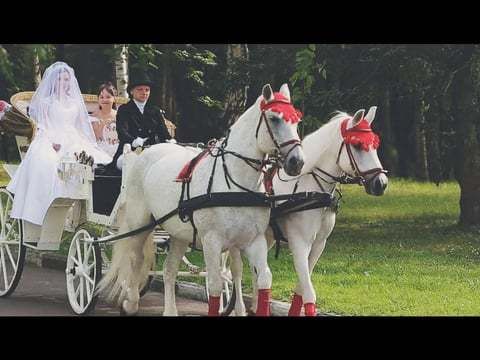 Свадебный клип "Алые паруса" , Мария и Вадим