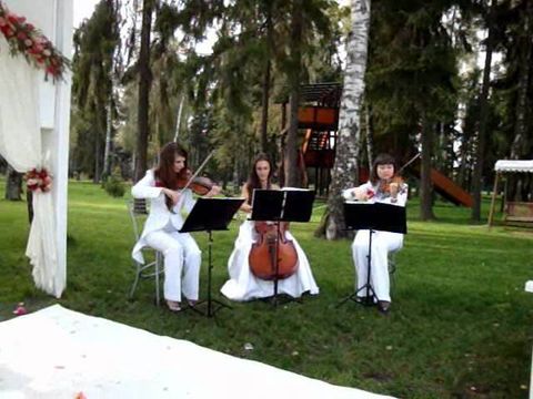 Струнное трио Violin Group DOLLS, выездная регистрация брака