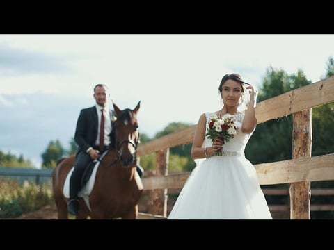 Алексей & Евгения / wedding highlights