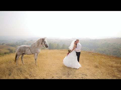 Илона и Дмитрий Wedding clip
