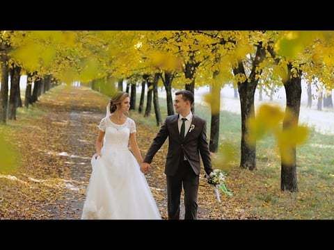 Олег и Анна Wedding clip